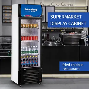 유리문이 있는 단일 온도 휴대용 수직 음료 쿨러 디스플레이 캐비닛 새로운 냉동 장비