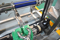 Mini fruit sap productielijn, kleine mango verwerkingsmachine, commerciële SS304, op maat gemaakte OEM fabrieksverkoop