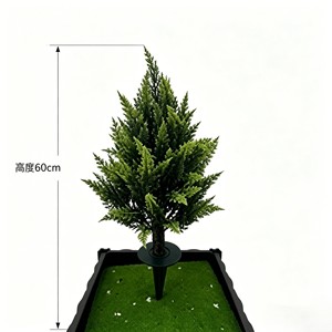 Elegante arbusto de conífera perenne compacto con follaje de agujas densas para jardín exterior, césped, bordes de carreteras, patios y paisajismo. - Product Image 2