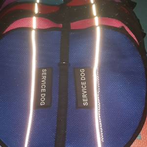 Produk Perlengkapan Hewan Peliharaan Harness Kualitas Tinggi Aksesori Anjing Jasa Harness Anjing Produsen Rompi Harness untuk Anjing - Product Image 2