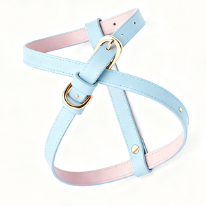 Ensemble de laisse et collier pour <span class=keywords><strong>chien</strong></span> avec motif personnalisé, harnais de luxe pour <span class=keywords><strong>chien</strong></span>, collier et laisse pour <span class=keywords><strong>chien</strong></span> de petite et moyenne taille - Product Image 1