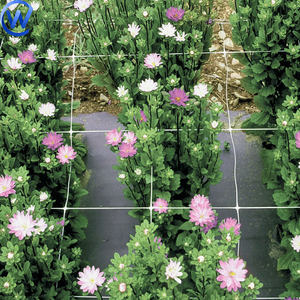 Filet de soutien pour roses grimpantes, œillets, tulipes, légumes et clématites - Product Image 4