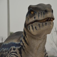 Raptor Dinosaurus Kostuum Verborgen Beenontwerp Licht Flexibel Aanpasbaar Realistisch Velociraptor Binnen Buiten Openbare Tuin Evenement