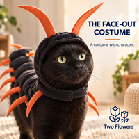 Costume de chat centipède d'Halloween noir et orange en peluche pour enfant avec capuche pour fêtes cosplay et accessoires photo en extérieur