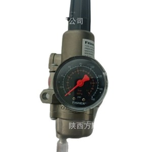 Régulateur de pression Fisher série 67C à action directe en acier inoxydable pour l'alimentation en eau et le drainage - Product Image 5