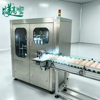 Machine d'inspection visuelle à fonctionnement continu avec détection des erreurs d'impression pour les processeurs d'œufs