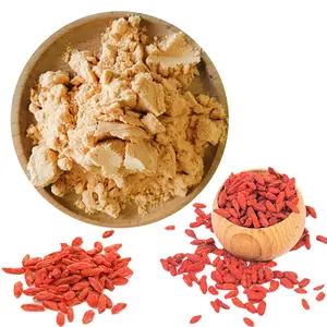 Beste Qualität Polysaccharid Wolf berry Extract Bio Goji Berry Powder