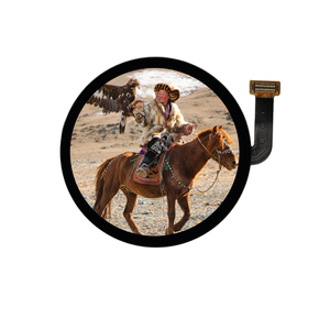Module d'affichage rond AM 1.43 pouces C06300AF-11 IC de pilote transmissif Ips AM 466(RGB)* 466 Pixels Affichage AMOLED QSPI <span class=keywords><strong>ORIC</strong></span> - Product Image 2