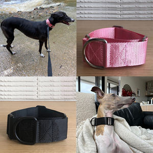 कस्टम लोगो collares <span class=keywords><strong>martingale</strong></span> perros टिकाऊ नायलॉन <span class=keywords><strong>2</strong></span> इंच चौड़ाई बड़े <span class=keywords><strong>martingale</strong></span> कुत्ते कॉलर के लिए ग्रेहाउंड - Product Image 6