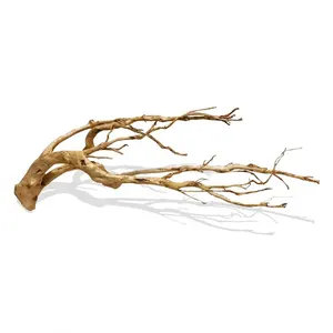 Kualitas tinggi kayu ramping tanduk alami seperti cabang akuarium Driftwood