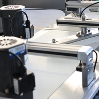 Machine d'emballage et d'alimentation automatique à double rouleau pour bonbons durs, à haute capacité, avec double alimentation par torsion