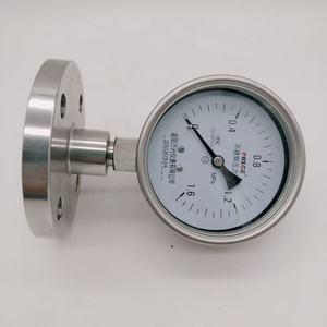 पाइपिंग फ्लैंज युग्मन के लिए दबाव गेज - Product Image 3