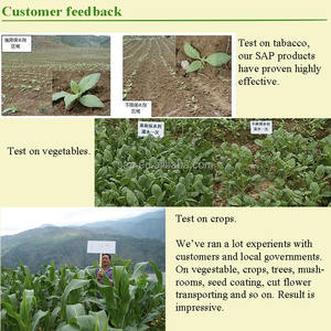 Beatum super hidro retenteur potásio poliacrílico para jardinagem - Product Image 5