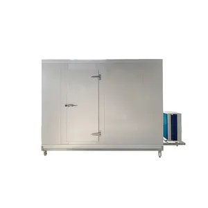 새로운 도매 냉동실 20ft 모바일 컨테이너 보관/물고기를위한 차가운 방 냉동실 야채 과일 아이스크림 냉동실에서 산책