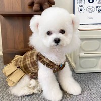 Nouvelles tenues décontractées pour animaux de compagnie style universitaire, tenues de couple, robe légère d'été à carreaux pour chaton et chien