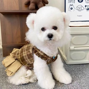 Nueva Ropa para Mascotas, Estilo Universitario, Conjuntos Casuales para Parejas, Vestido Ligero de Verano con Estampado a Cuadros para Perros y Gatos - Product Image 3