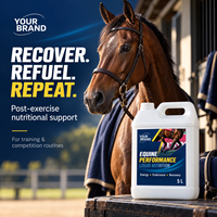Complément liquide pour chevaux OEM ODM avec fer et vitamines B pour l'énergie, l'endurance et la récupération post-exercice des chevaux de course 5L