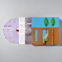Precio al por Mayor, Discos de Vinilo Clásicos Personalizados de 7'', 10'' y 12''