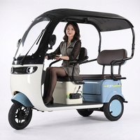 Triciclo Eléctrico Mini para Adultos, Nuevo Diseño Económico, 3 Ruedas, Motor en el Buje Trasero, 1000W, 3 Velocidades, Marco de Acero al Carbono, para Carga y Pasajeros