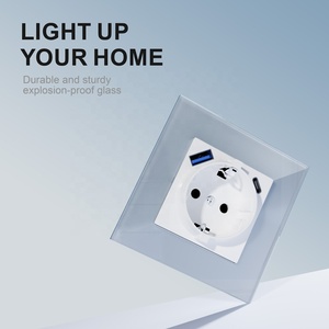 Presa a Muro Elegante con Pannello in Vetro Temperato Standard Europeo Schuko 16A 250V con Porte USB per Ricarica Rapida PD20W - Product Image 2