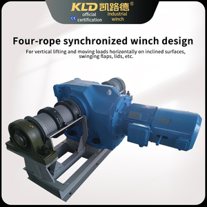 Двойная барабанная лебедка, четыре веревки, синхронизированные сидячие вертикальные подъемные европейские промышленные лебедки могут быть настроены - Product Image 4