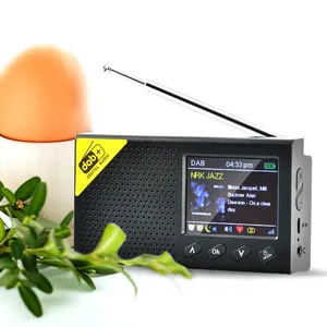 Radio réseau extérieure BT Émetteur-récepteur sans fil pour télécommande Radio de poche DAB Radio FM à affichage numérique