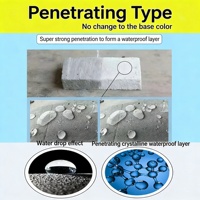 Silicona Nano Penetrante Resistente a los Álcalis, Repelente al Agua para Impermeabilización de Concreto, Anti-Infiltraciones en la Construcción