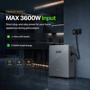 Batería de Almacenamiento de Energía Doméstica Enchufable de 5.12kWh Dyness Aquavolt 8000 Ciclos con Control por IA y Entrada de CA de 2.5kW - Product Image 1