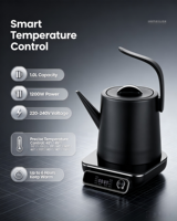 Bouilloire Électrique Haute Qualité 1200W 1.0L en Acier Inoxydable 304 avec Protection Anti-Ébullition à Sec pour la Maison