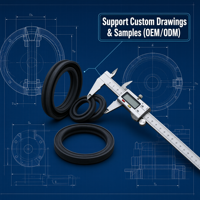 Kits de sellado para cilindros hidráulicos |   NBR FKM Silicona EPDM |   Resistente al aceite y al calor |   Juntas Tóricas OEM