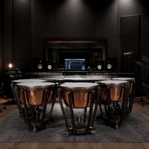 Juego de Timbales Tipo 98-A de la Serie Completa para Escuela (Paquete de 5) con Afinación Profesional Balanceada por Pedal y Timbales con Indicadores - Product Image 4