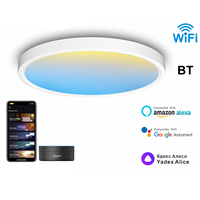 Nouveau panneau de plafond à spectre complet Ra98 Sky Smart WiFi BT commande vocale Alexa Google Assistant Compatible panneau lumineux LED