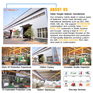 Nhà Máy Bán Hàng Trực Tiếp M2 M3 M5 M6 Thép Không Gỉ Đồng Bằng Din7338 Vòng Đầu Phẳng Rắn Đinh Tán - Product Image 6