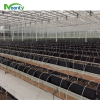 Système de culture hors-sol en PVC pour serres hydroponiques, idéal pour la production de fraises