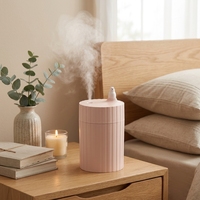 Humidificateurs rechargeables pour la maison et la voiture, mini humidificateur ultrasonique USB LED pour chambre de bébé, brumisateur d'air de table, humidificateur à vapeur froide H2O