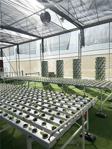 Sistema Hidropónico de Tubería de PVC, Sistemas de Cultivo Hidropónico Verticales y Horizontales Personalizados, Agricultura <span class=keywords><strong>NFT</strong></span>, Canal <span class=keywords><strong>NFT</strong></span> - Product Image 5