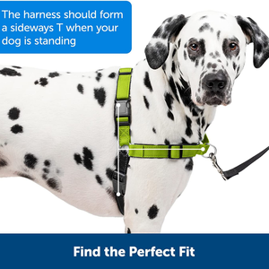 사려깊은 Martingale 개 마구 훈련 행동 작은 중간 큰 개 마구를 당기는 정지 - Product Image 3