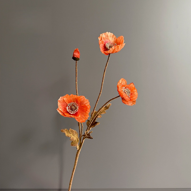 Orange2