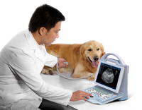 Máquina de ultrasonido veterinario para mascotas, clínica veterinaria para animales pequeños, gato, perro, conejo y serpiente
