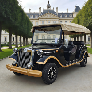 Voiture électrique vintage de luxe rétro, 11 places, buggy de tourisme classique pour sites touristiques - Product Image 2