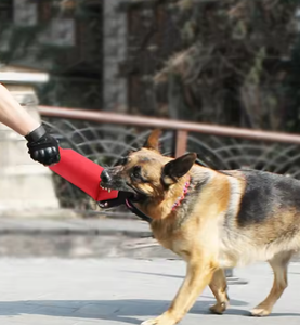 Hot-Selling Training Hond Kauwstok Speelgoed Waterdichte Duurzame Oxford Doek & Rookloze Houtsnippers Bijtkracht - Product Image 5