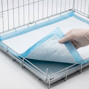 Pañales para Mascotas Personalizados con MOQ Bajo, Directo de Fábrica, Súper Absorbentes, a Prueba de Fugas, Desechables, Servicio OEM de Marca Privada - Product Image 6