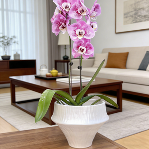<span class=keywords><strong>Vaso</strong></span> per orchidee rosa, fioriera per orchidee per decorazioni interne, <span class=keywords><strong>vaso</strong></span> per fiori per soggiorno - Product Image 5
