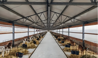 Estructura de Acero para Gallineros, Naves Avícolas, Cobertizos Agrícolas, Edificios Prefabricados para Aves de Corral, Almacenes, Soldadura y Corte