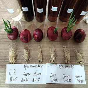 Fertilizante Orgánico en Polvo de Liberación Rápida Super Grow, con Ácido Fúlvico, Ácido Húmico y Potasio, Fuente Mineral Soluble en Agua al 99% - Product Image 2