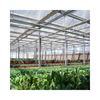 Prix de gros Serre agricole commerciale en verre Venlo multi-travée serres agricoles pour plants de tomates