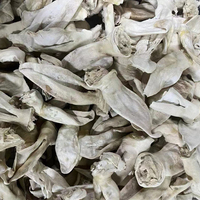Ingrédients 100% naturels Oreilles de lapin lyophilisées Friandises pour chats Riches en protéines Sans céréales Sans arômes artificiels