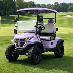 Carrito <span class=keywords><strong>de</strong></span> Golf <span class=keywords><strong>de</strong></span> Lujo para 2 Pasajeros <span class=keywords><strong>con</strong></span> Batería <span class=keywords><strong>de</strong></span> Litio, Homologado para Calle, <span class=keywords><strong>con</strong></span> Certificación CE DOT y Refrigerador para Golf y Recorridos Turísticos - Product Image 1