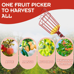 Outils de cueillette de fruits à poteau télescopique en acier inoxydable <span class=keywords><strong>attrape</strong></span>-fruits avec tampon de protection en mousse pour pomme avocat - Product Image 5