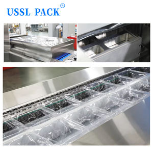 <span class=keywords><strong>Film</strong></span> étirable commercial HVR-420S pour machine d'emballage sous vide thermoformage continu pour maïs, poulet, fromage - Product Image 5